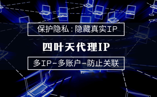 【漳州代理IP】服务器代理ip如何选择？如何挑选服务器代理商